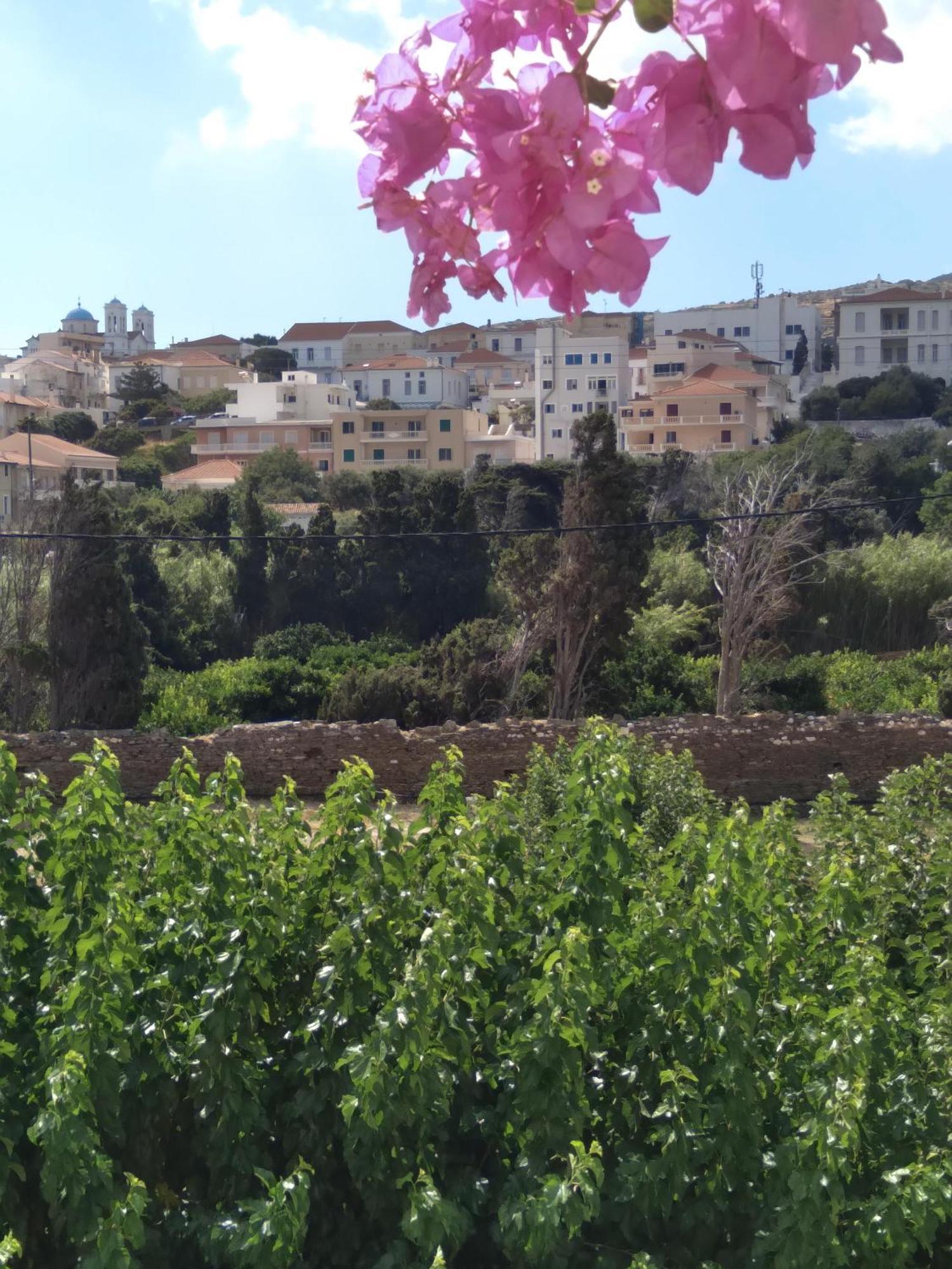 Apartment Iokasti Andros Town